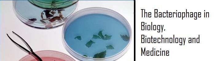  The Bacteriophage in Biology