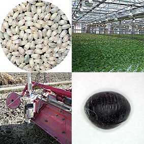 Small Scale Bio-production: Beyond the Flask – 18th November 2011