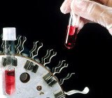 Cell Culture
