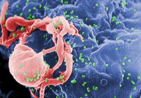 The 2016 Immunosuppression Summit