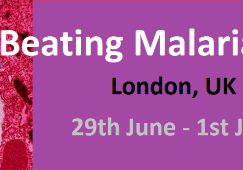 MalariaBanner2015