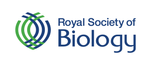 RSB Logo - Transparent Background