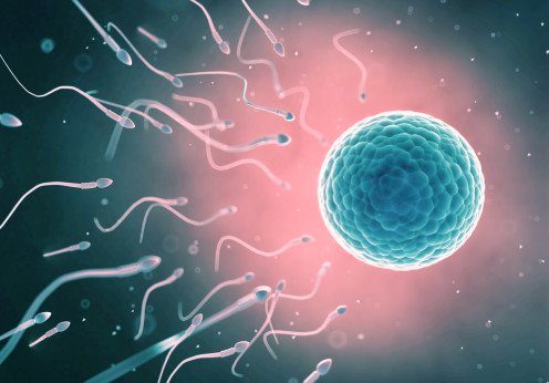 Reproductive 2017 Image