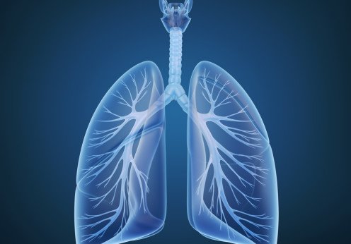 Respiratory2017 Image