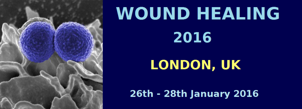 Wound16Banner